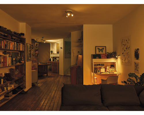 Wohnraum mit Bücherregal, Schreibtisch und Zugang zur Küche.