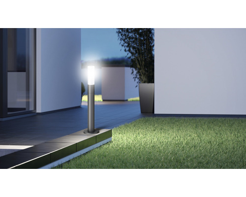 Espace extérieur avec pelouse et borne lumineuse éclairée