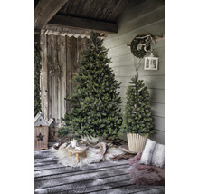 Dekorierter Weihnachtsbaum mit Lichtern in rustikaler Umgebung