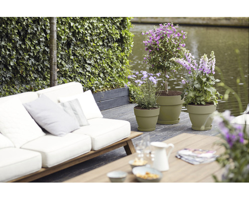 Terrasse mit Gartenmöbeln und bepflanzten Blumentöpfen