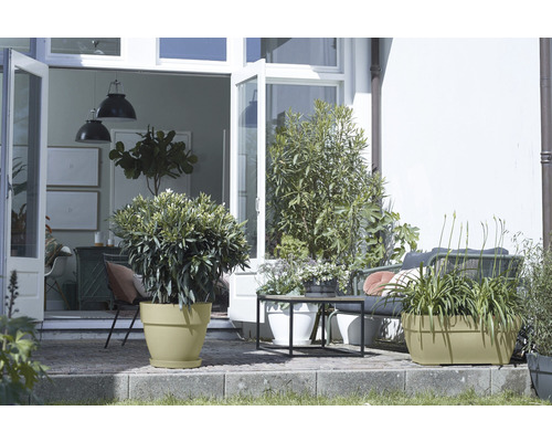 Terrassenszene mit Pflanzen in Blumentöpfen und Gartenmöbeln vor einer geöffneten Tür