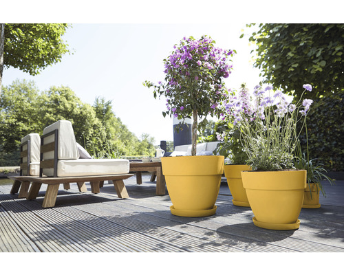 Terrasse mit Gartenmöbeln und bepflanzten Blumentöpfen