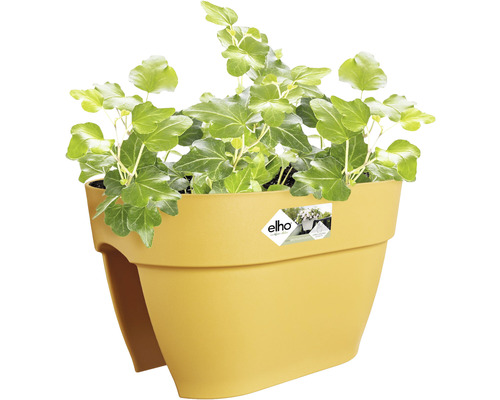 Gelber Balkonkasten mit Efeu