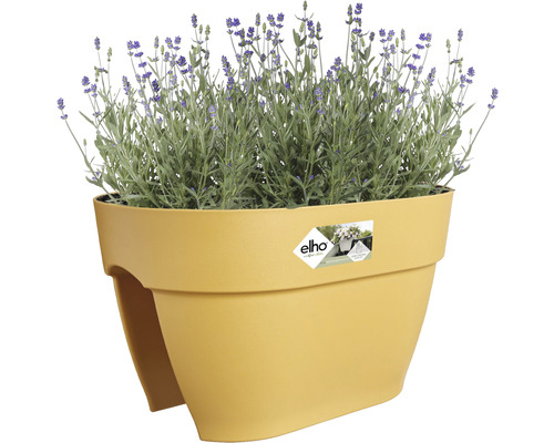 Blumenkasten mit Lavendel für den Außenbereich