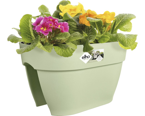 Blumenkasten aus Kunststoff mit bunten Frühlingsblumen