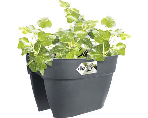 Dunkelgrauer Elho Pflanzkasten mit Efeu