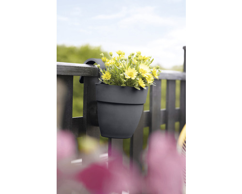 Grauer Balkonkasten mit gelben Blumen am Geländer