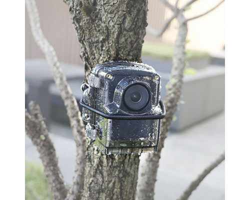 Wildkamera an engem Bam befestegt