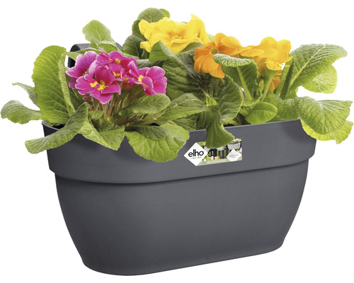 Grauer Geländertopf mit Primeln