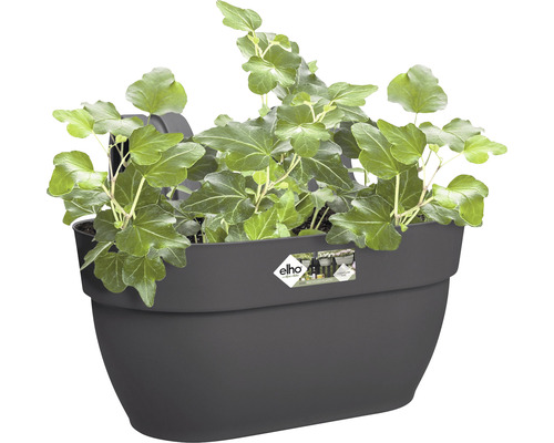 Grauer Blumenkasten mit Efeu