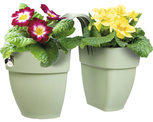 Doppelter Blumenkasten mit roten und gelben Primelblüten