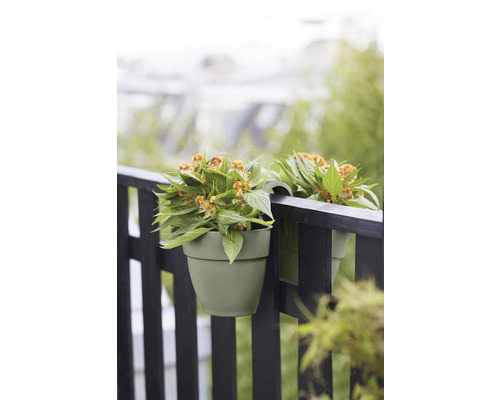 Zwei Blumenampeln mit Pflanzen am Geländer