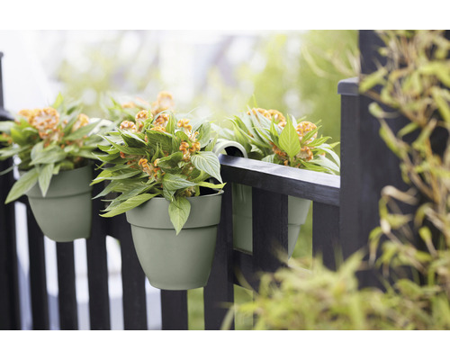 Drei grüne Blumentöpfe mit Pflanzen hängen an einem dunklen Zaun.