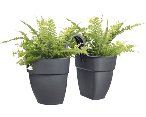 Zwei graue Hängeampeln mit Farn bepflanzt