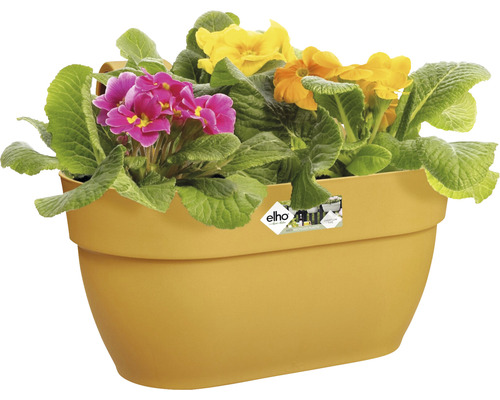 Gelber Blumenkasten mit bunten Primeln