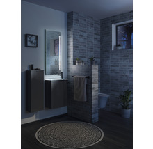 Waschtischunterschrank FACKELMANN Small Bathroom Collection BxHxT 44 x 60 cm x 24,3 cm Frontfarbe anthrazit 86011