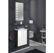 Waschtischunterschrank FACKELMANN Small Bathroom Collection BxHxT 44 x 60 cm x 24,3 cm Frontfarbe weiß weiß glänzend 86014