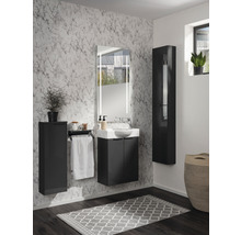 Waschtischunterschrank FACKELMANN Small Bathroom Collection BxHxT 52 x 60 cm x 24,3 cm Frontfarbe anthrazit
