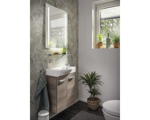 Salle de bains avec meuble sous-lavabo, miroir avec éclairage et plantes d''intérieur