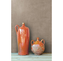 Deux cruches en argile avec anse sur une table