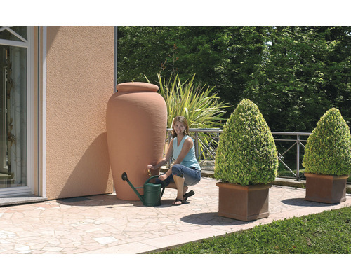 Jardin avec réservoir d''eau de pluie, arrosoir et pots de fleurs plantés