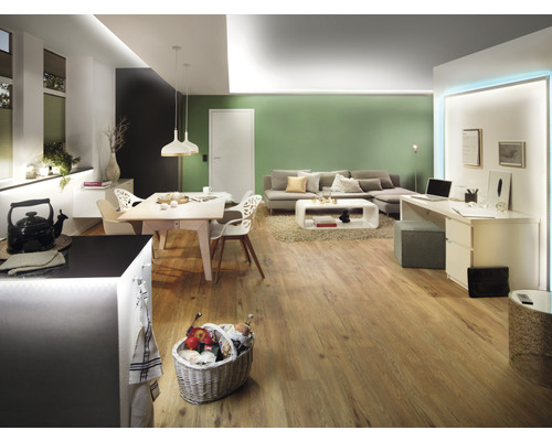 Espace de vie lumineux avec plancher en bois, table à manger, canapé et espace de travail