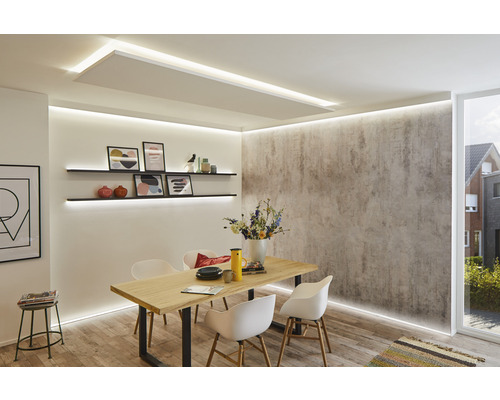 Esszimmer mit Esstisch, Stühlen, Regalen und Deckenbeleuchtung