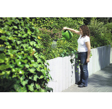 Femme arrosant des plantes avec un arrosoir dans un jardin avec un mur en béton et du lierre
