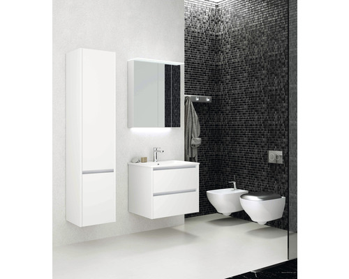 Salle de bains moderne avec meuble-lavabo, armoire de toilette, armoire haute, bidet et WC.