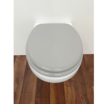 WC suspendu avec siège de toilette gris sur plancher en bois