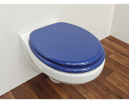 WC suspendu avec siège de WC bleu