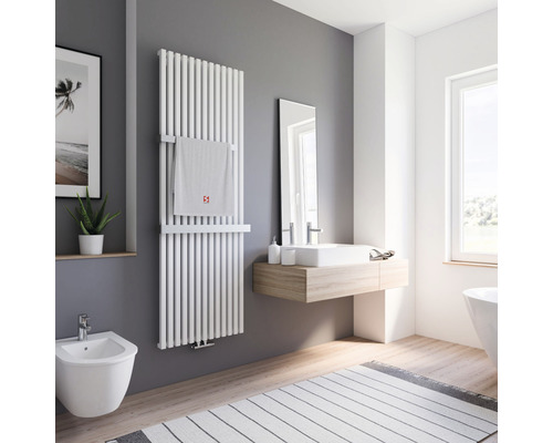 Badezimmer mit Heizkörper, Bidet, Waschbecken, Spiegel und Teppich für ein helles und organisiertes Erscheinungsbild