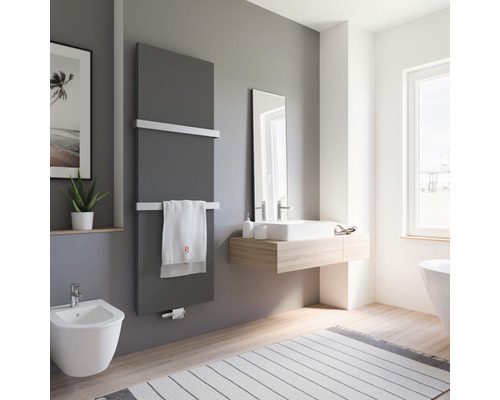 Salle de bains moderne avec sèche-serviettes, lavabo et bidet