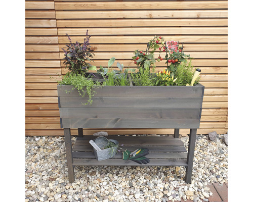 Jardinière surélevée en bois avec herbes et légumes