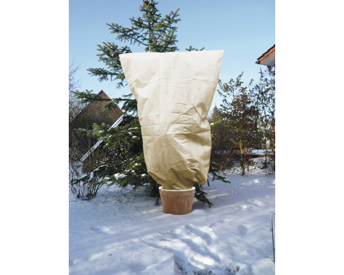 Arbre planté avec sac de protection hivernale dans la neige