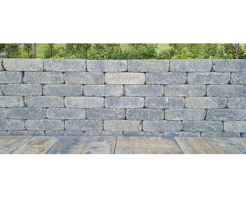 Mur en pierres de parement grises avec végétation