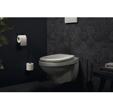 WC-Bürste HACEKA Ixi schwarz matt 1208511