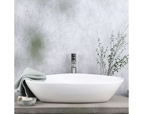 Vasque à poser dans une salle de bain avec robinetterie et décoration