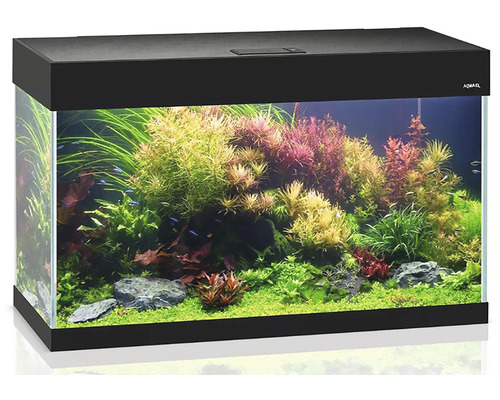 Aquarium AQUAEL OPTI SET 125 avec couvercle et éclairage, 81 x 36 x 51 cm, noir