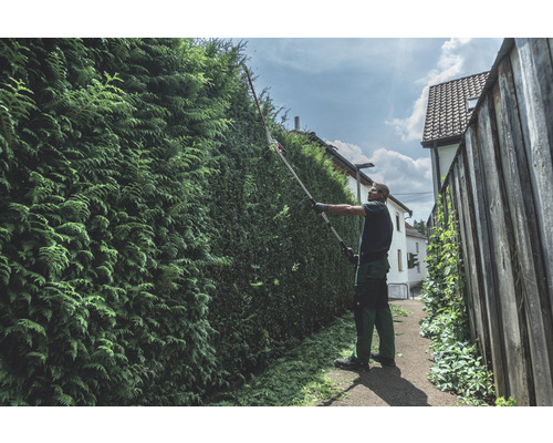 Un homme coupe une haie avec un taille-haie à manche