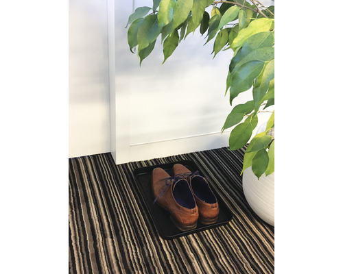 Chaussures sur un plateau à chaussures dans l''entrée