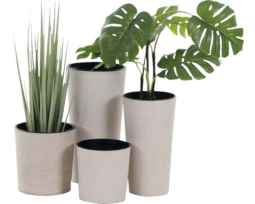 Vier Zimmerpflanzen in Töpfen unterschiedlicher Größe