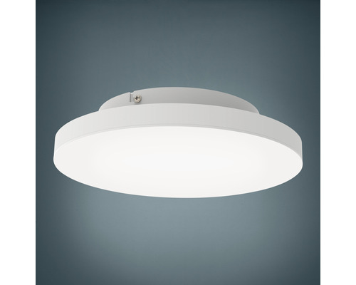 Plafonnier LED Smart Light 15,7 W 1730 lm CCT + RVB Ø 30 cm blanc - Compatible avec SMART HOME by hornbach