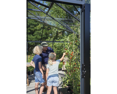 Famille dans une serre avec un plant de tomates