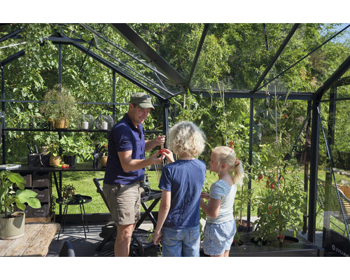 Une famille récolte des tomates dans une serre avec des murs en verre et des étagères pour les plantes.