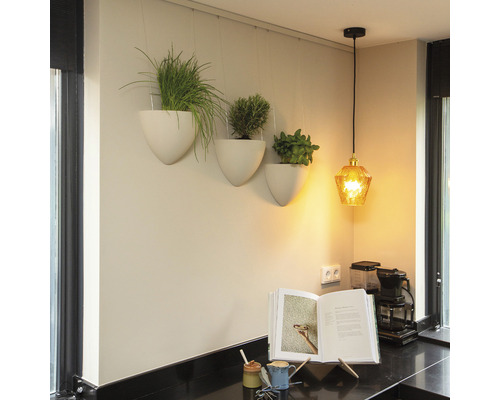 Dekorative Kraider a wäissen hängende Vasen an eng giel Hängelampe an enger Kichen.