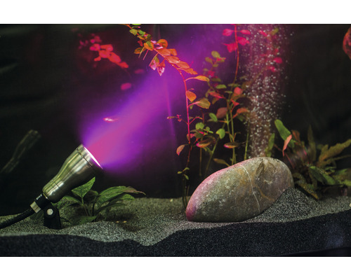 Aquarium mit Unterwasserbeleuchtung, Pflanzen und Dekoration