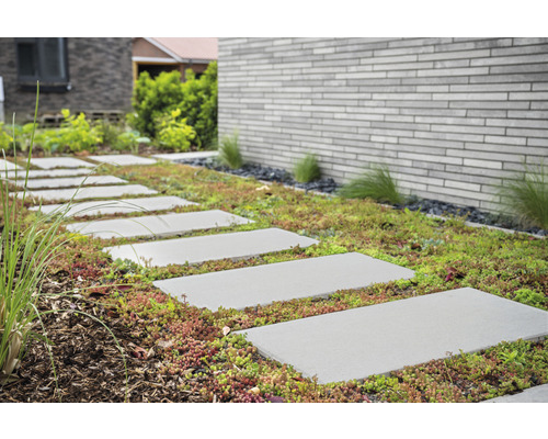 Dalle de terrasse en béton gris ciment avec chanfrein 60 x 30 x 4 cm