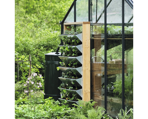 Vertikaler Garten mit Erdbeeren neben einem Gewächshaus und einer Regentonne.