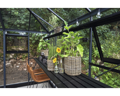 Intérieur de serre avec des plantes dans des paniers sur une table
